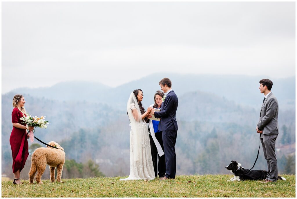 the elopement ceremony with witnesses and dogs at the Ridge in Asheville NC