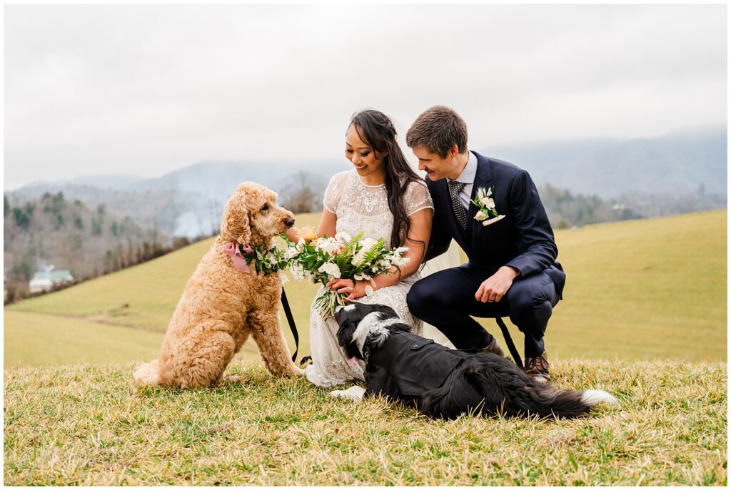 The bride and groom with their two dogs at the Ridge