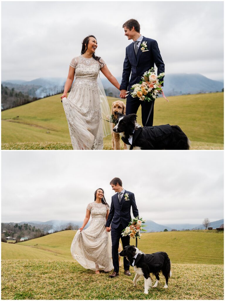 bride and groom with their dogs at the Ridge in Asheville