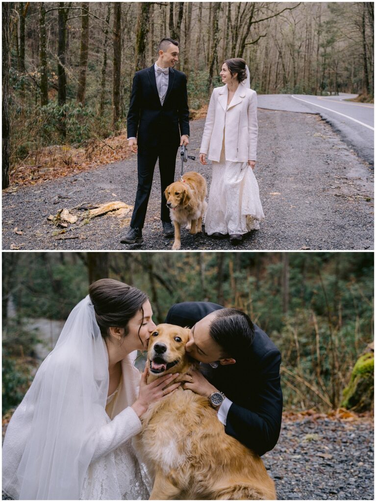 Golden Retriever elopement in Asheville | Legacy & Legend All-Inclusive Elopement