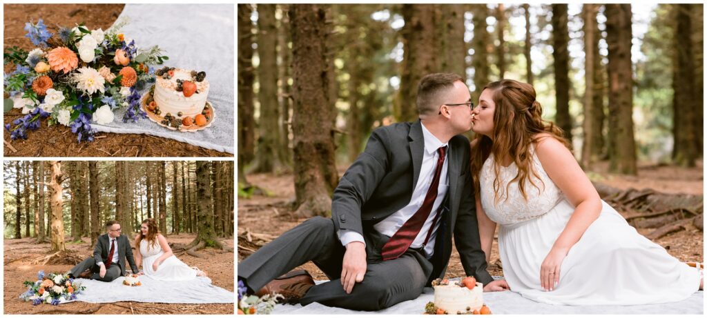 A fall picnic setup before their black balsam elopement.