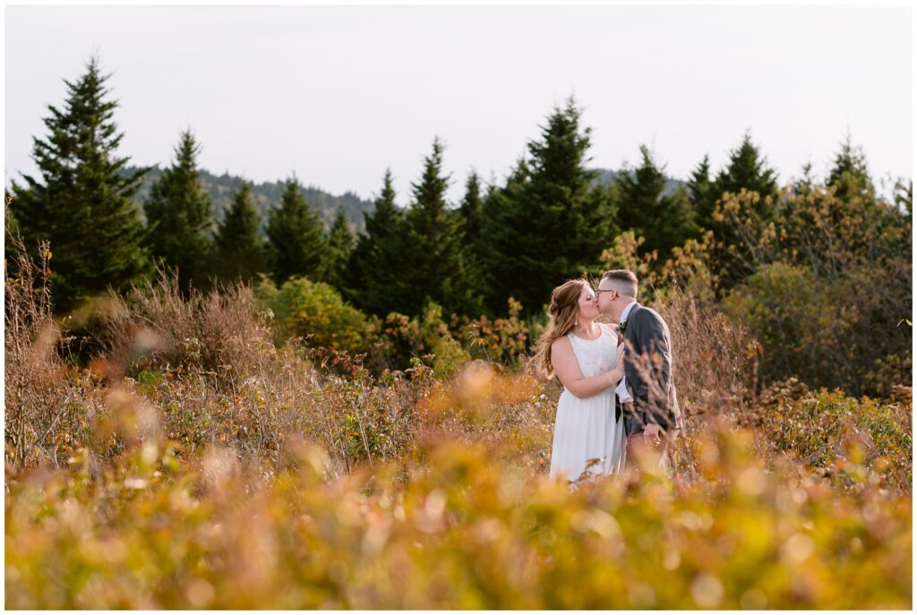 Bride and groom portrait in a field with fall foliage.