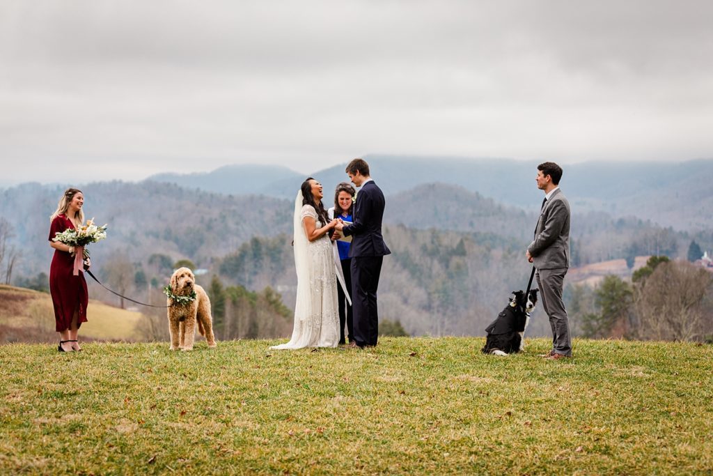 A fall elopement at the Ridge in Asheville, NC with dogs and witnesses.