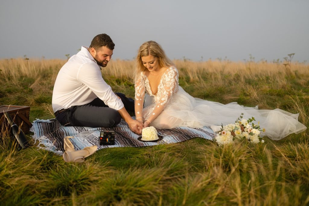 Couple cuts a cake on a picnic in the mountains after eloping with Legacy and Legend.