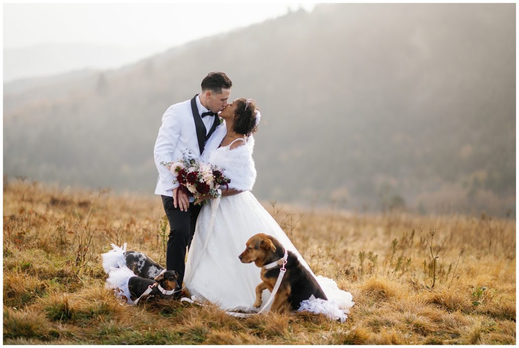 Couple says I do with their dogs at Roan Mountain