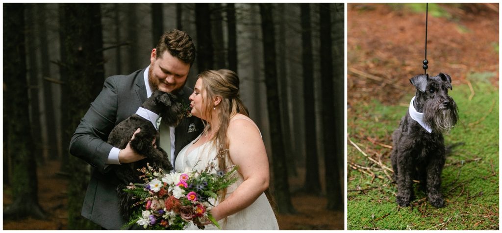 How to plan a dog friendly elopement