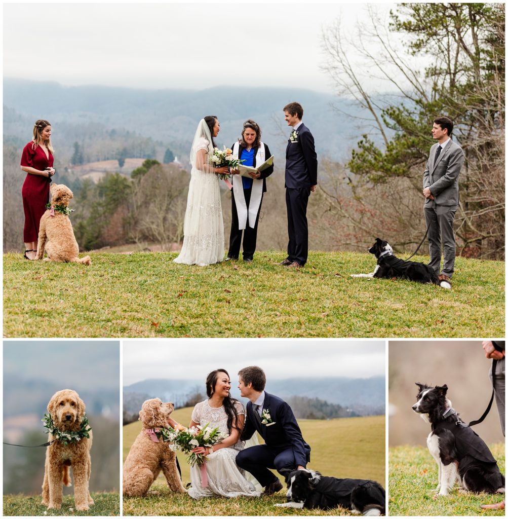 Including your dog in your elopement ceremony 